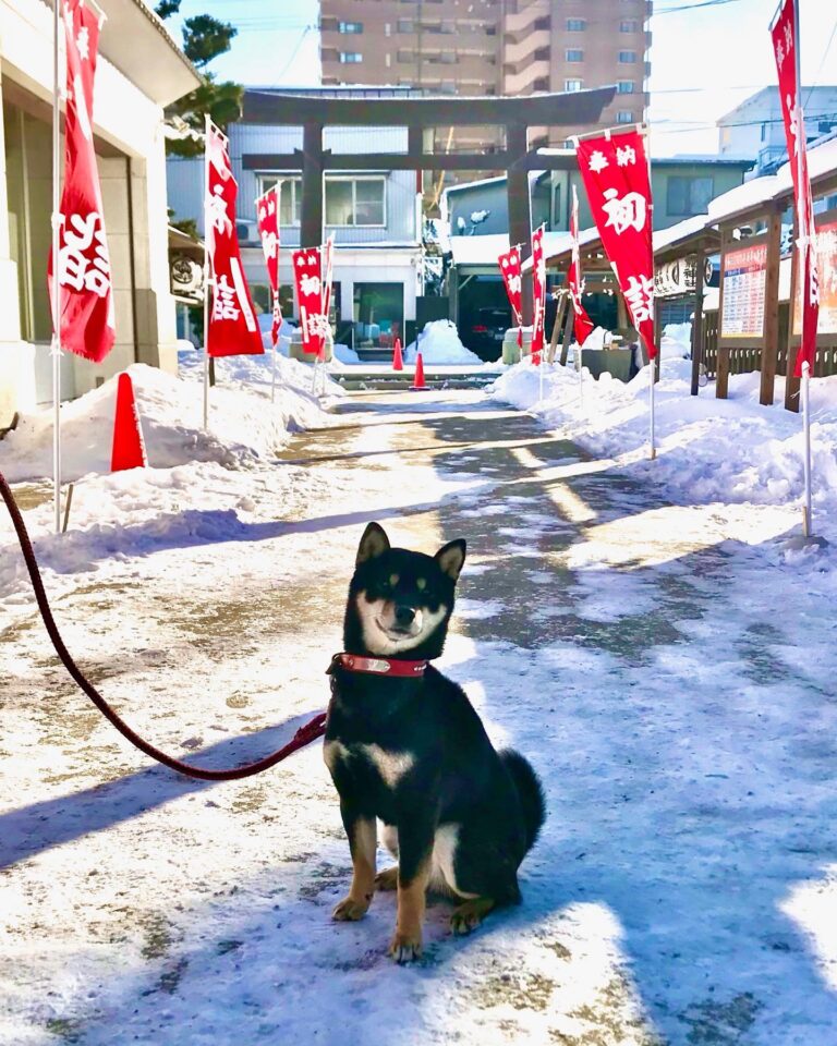 法霊山龗神社instagramからの投稿