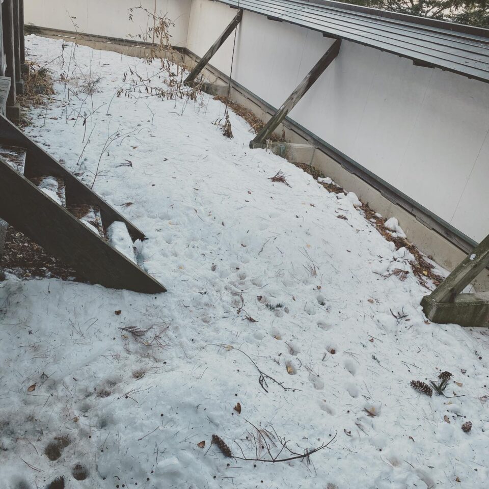 法霊山龗神社instagramからの投稿
