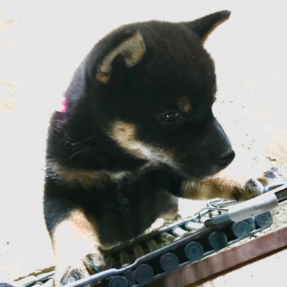 法霊山龗神社instagramからの投稿