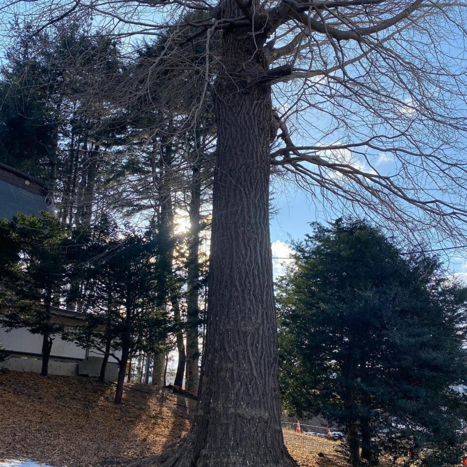 法霊山龗神社instagramからの投稿