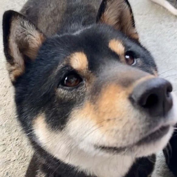 法霊山龗神社instagramからの投稿