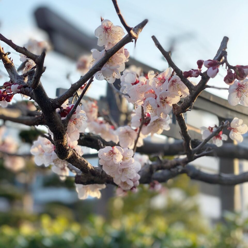 法霊山龗神社instagramからの投稿