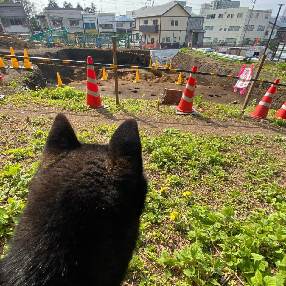 法霊山龗神社instagramからの投稿