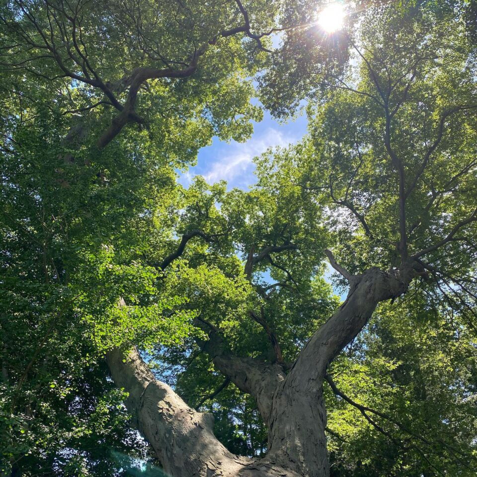 法霊山龗神社instagramからの投稿