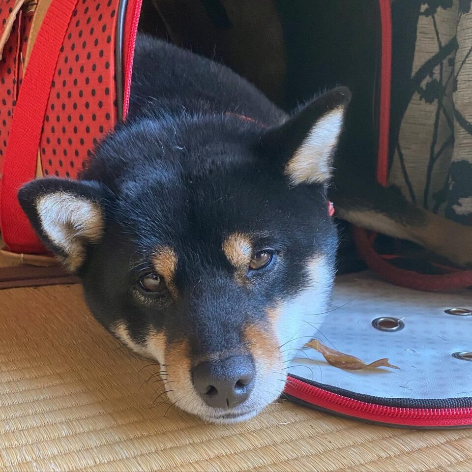 法霊山龗神社instagramからの投稿