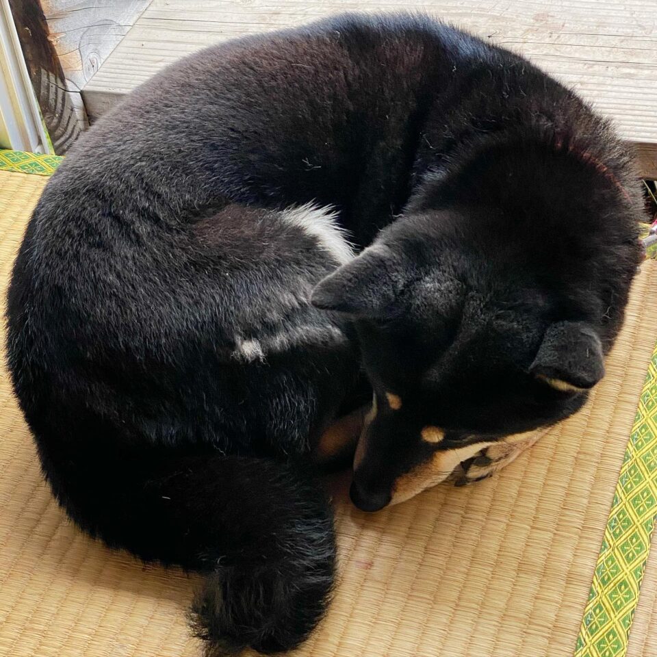 法霊山龗神社instagramからの投稿