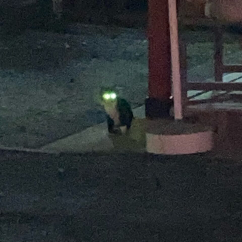 法霊山龗神社instagramからの投稿