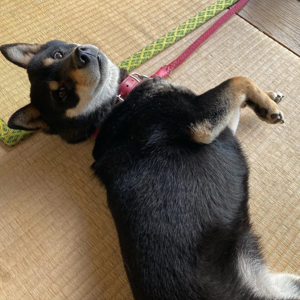 法霊山龗神社instagramからの投稿