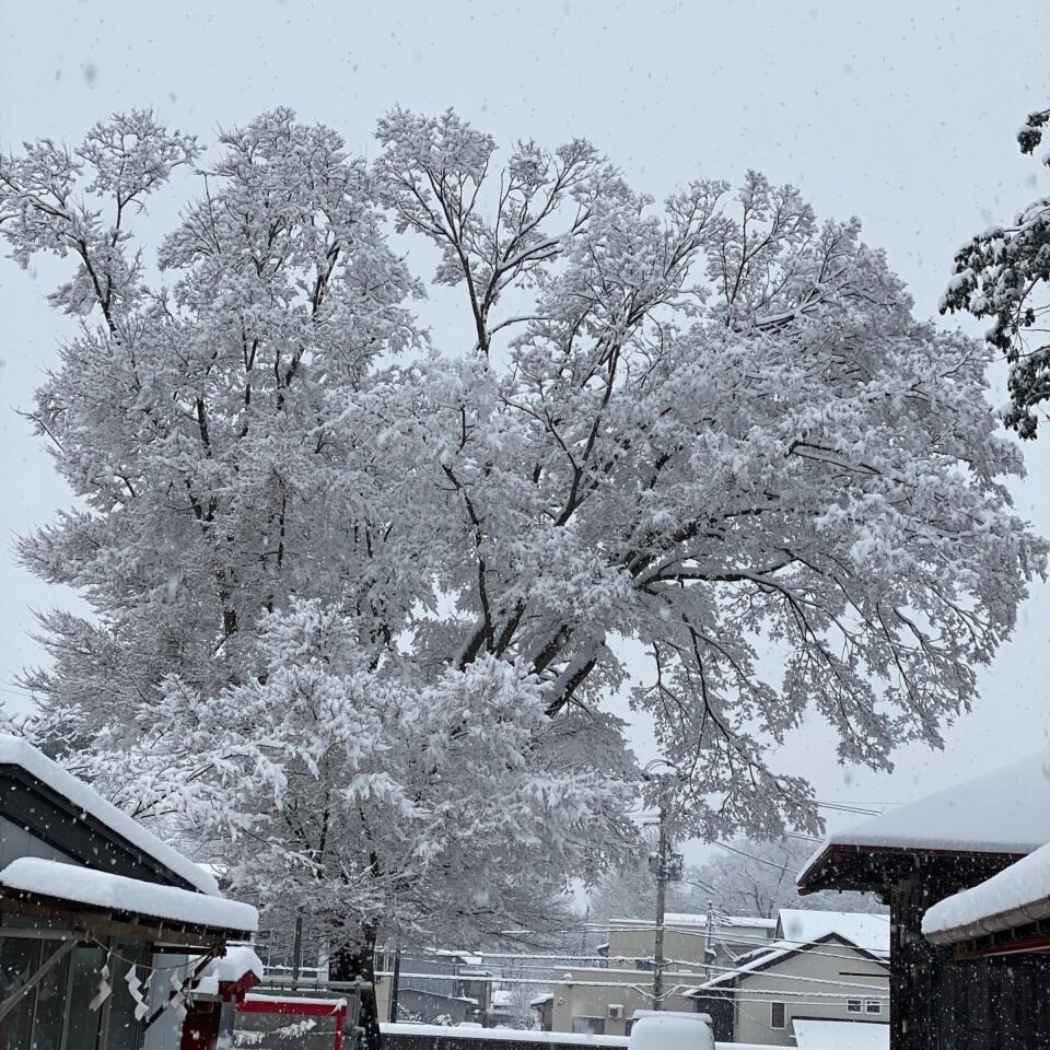 法霊山龗神社instagramからの投稿