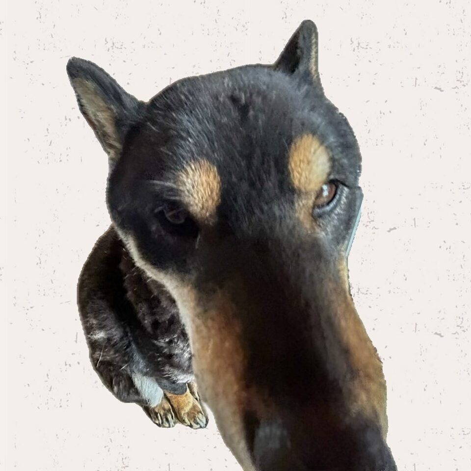 法霊山龗神社instagramからの投稿