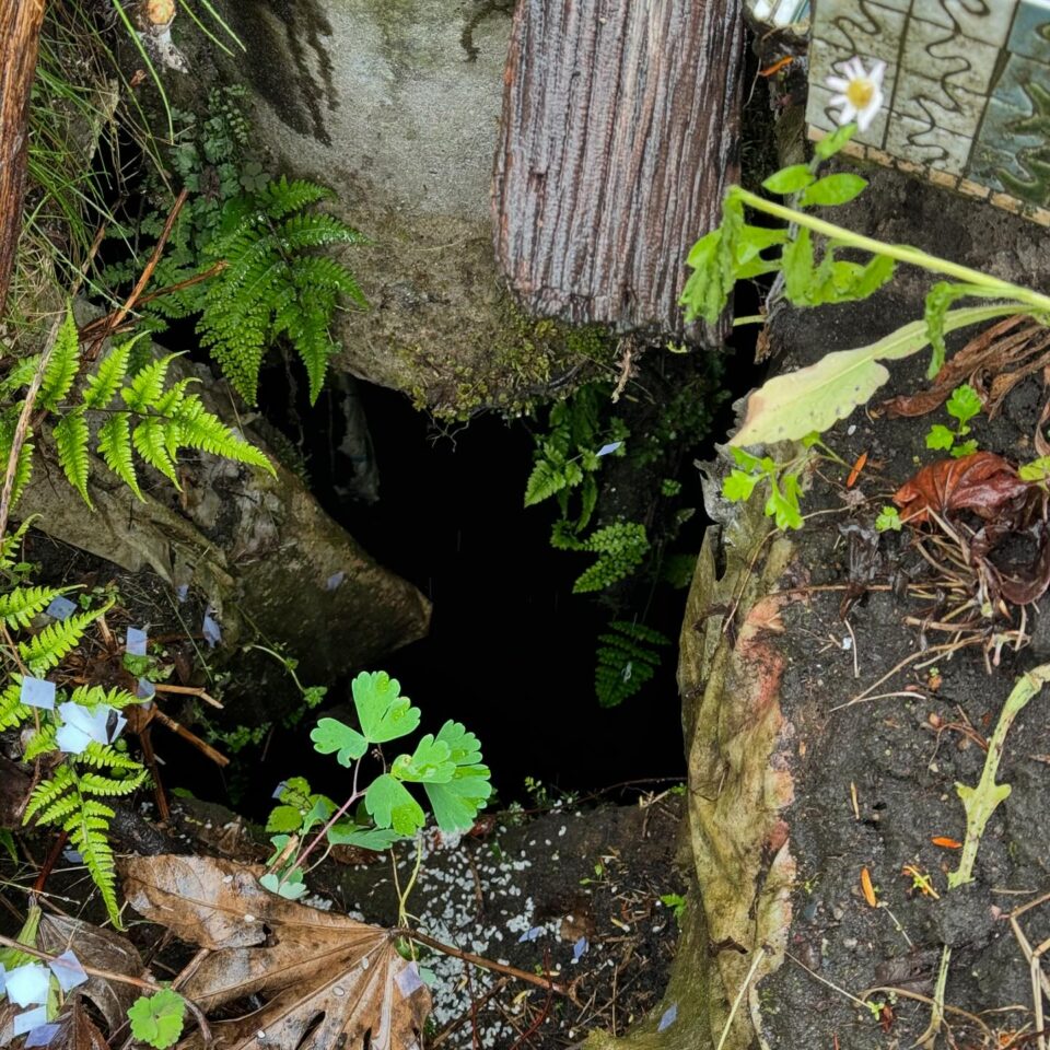 法霊山龗神社instagramからの投稿